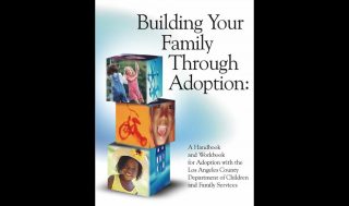 dcfs_adoption_book